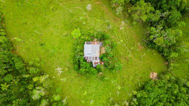 Putumayo, Kolombiya 'da verimli yeşilliklerle çevrili tenha bir evin hava perspektifi doğanın güzelliğini gözler önüne seriyor..