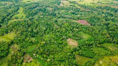 Kolombiya 'daki Putumayo bölgesinin canlı yeşilliğini gözler önüne seren çarpıcı hava görüntüleri, zengin biyolojik çeşitliliği ve bereketli manzaraları vurguluyor..