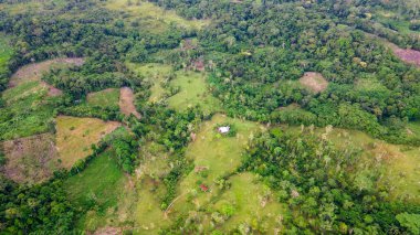 Putumayo, Kolombiya 'nın canlı manzaralarını gösteren göz kamaştırıcı hava fotoğrafı, yemyeşil ormanlar ve açık araziler yer alıyor..