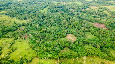Şaşırtıcı hava manzarası canlı yeşillikleri ve Putumayo, Kolombiya 'nın çeşitli ekosistemlerini gösteriyor. Doğa ve seyahat meraklıları için mükemmel..