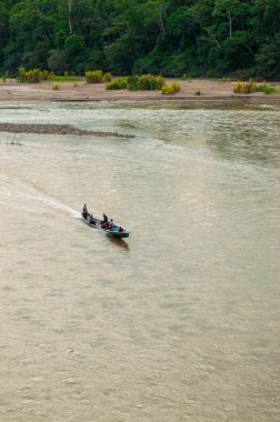 Bir tekne, Kolombiya 'nın doğal ortamındaki yemyeşil yemyeşil sularla çevrili Putumayo Nehri' nin sakin sularını aşarak yolcuları taşıyor..