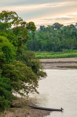 Putumayo, Kolombiya 'da sakin bir nehir manzarası, kıyılar boyunca yemyeşil ve su üzerinde bir kano..