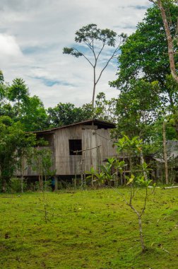 Putumayo, Kolombiya 'nın verimli yeşilliklerinde, uzun ağaçlar ve sakin bir manzarayla çevrili ahşap bir ev..