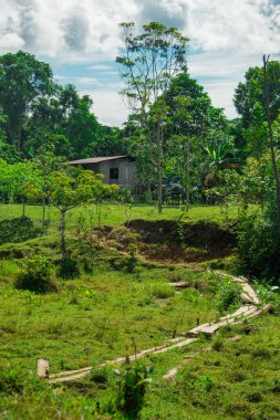 Kolombiya 'nın huzurlu Putumayo bölgesinde yemyeşil ve kırsal bir ev doğanın ve kırsal yaşamın güzelliğini gözler önüne seriyor..