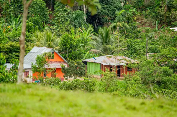 Putumayo, Kolombiya 'da verimli yeşilliklerle çevrili renkli evlerin manzarası kırsal yaşamı ve canlı mimariyi gözler önüne seriyor..