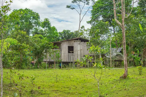 Putumayo, Kolombiya 'nın göbeğinde yemyeşil yemyeşil bir ev. Doğa ve seyahat fotoğrafçılığı için ideal..