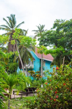 Cartagena, Bolivar, Kolombiya 'daki Rosario Adaları' nda yemyeşil ve palmiye ağaçlarıyla çevrili canlı bir sahil evi..