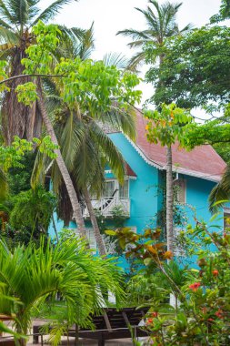 Rengarenk Rosario Adaları, Cartagena, Kolombiya 'da yemyeşil ve palmiye ağaçlarıyla çevrili canlı mavi bir ev..