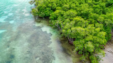 Rosario Adası, Cartagena, Kolombiya kıyısındaki yemyeşil ve berrak suların göz kamaştırıcı hava manzarası..