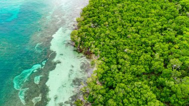 Kartagena, Bolivar, Kolombiya 'daki Rosario Adaları' nda yemyeşil suların berrak sularla buluşmasının çarpıcı hava manzarası..