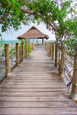 Bereketli yeşillik ve Karayip Denizi ile çevrili Rosario Adaları, Cartagena, Kolombiya 'da sazdan bir çardağa uzanan sakin bir ahşap rıhtım..