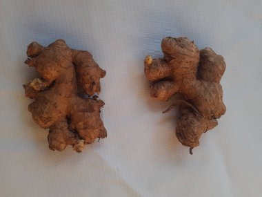 Beyaz arka planda Asya tropik taze zencefil. Üst görünüm.