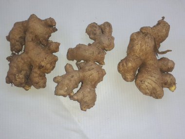 Beyaz arka planda Asya tropik taze zencefil. Üst görünüm.