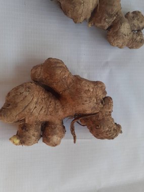 Beyaz arka planda Asya tropik taze zencefil. Üst görünüm.