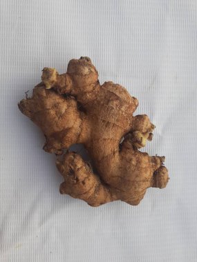 Beyaz arka planda Asya tropik taze zencefil. Üst görünüm.