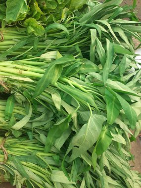 Kangkung. Geleneksel pazarlarda taze Asya tropikal sebzeleri. Endonezyalılar arasında çok popüler, günlük yemek tarifleri ile işlenebilir..