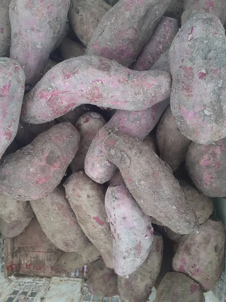 Ipomoea Batatas Purple Sweet Potato Many Purple Sweet Potatoes Seller — Stock Photo, Image