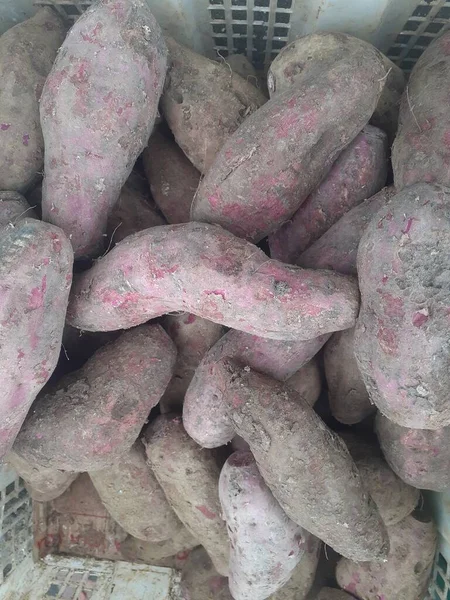 イポモアバタータや紫芋 伝統的な市場では紫芋がたくさん売られています 紫芋の利点は 免疫力 肝臓と腎臓の健康を高めることです — ストック写真