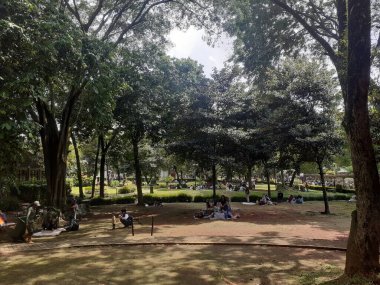 Jakarta, Endonezya, 18 Şubat 2023: Ragunan Vahşi Yaşam Ulusal Parkı 'na güzel, yeşil ve gölgeli doğanın ortasında insanlar veya ziyaretçiler için konfor ve sükunet ortamı.