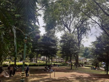 Jakarta, Endonezya, 18 Şubat 2023: Ragunan Vahşi Yaşam Ulusal Parkı 'na güzel, yeşil ve gölgeli doğanın ortasında insanlar veya ziyaretçiler için konfor ve sükunet ortamı.