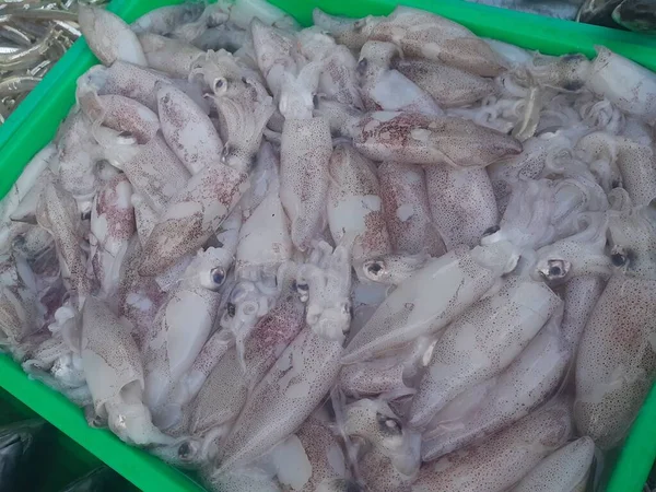街边一家传统市场卖鱼的摊位上有很多新鲜鱿鱼 — 图库照片