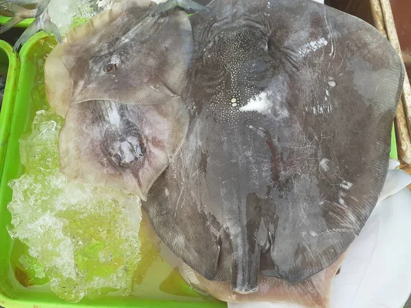 アジアの伝統的な市場で魚を売るトレイの上に氷の断片が付いた新鮮なステーキフィッシュ — ストック写真
