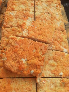 Geleneksel bir yol kenarı pazarında ahşap bir rafta çiğ oncom. Oncom, yer fıstığı keki ve tofu dreglerinden yapılan mantar ezmeli bir tempeh. Oncom, çeşitli küf türleri olan mayalanmış bir yemektir..