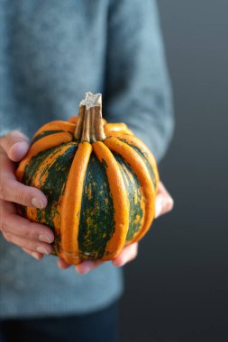 Kadınların elleri parlak turuncu ve yeşil bir balkabağı tutar.