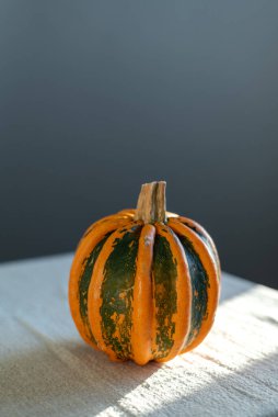 Parlak turuncu ve yeşil bir balkabağı keten kumaşla kaplı bir masanın üzerinde yatıyor..