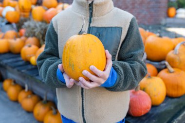 Cadılar Bayramı için el ele tutuşan tanınmamış küçük çocuk, Jack O Lantern. Cadılar Bayramı için çiftçi pazarında balkabağı ve kabak. Yerel bir eko çiftliğinden taze organik gıda..