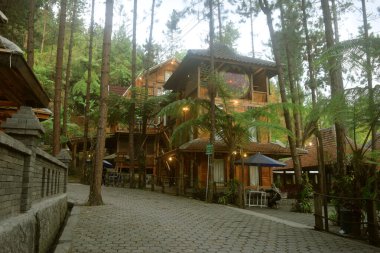 Tegal, Endonezya - 24 Eylül 2023: Guci Ormanı 'ndaki güzel ve serin atmosfer. Bir sürü çam ağacı ve geleneksel binaları var. Tegal şehrinde popüler turistik merkezler