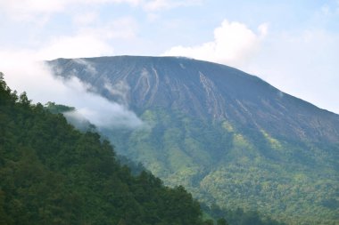 A mountain with a misty atmosphere surrounded by green pine forests in the Guci clipart