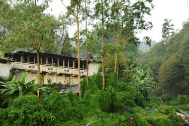 Guci turistik bölgesi, Tegal Regency, Central Java 'da bulunan bereketli bir orman ve sakin bir nehirle çevrili antik bir bina.