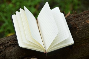 Açık bir ağaç dalına doğal bir şekilde yerleştirilmiş, okumayı, eğitimi ve doğa ile bilgi arasındaki uyumu sembolize eden açık bir kitap. Dünya Kitap Günü ve okur yazarlık için ideal bir kavram..