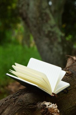 Doğaya yerleştirilmiş açık bir kitap, okuma ve Dünya Kitap Günü temaları için mükemmel..