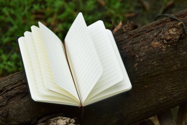 Açık bir ağaç dalına doğal bir şekilde yerleştirilmiş, okumayı, eğitimi ve doğa ile bilgi arasındaki uyumu sembolize eden açık bir kitap. Dünya Kitap Günü ve okur yazarlık için ideal bir kavram..