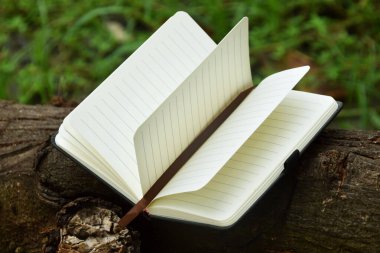 Açık bir ağaç dalına doğal bir şekilde yerleştirilmiş, okumayı, eğitimi ve doğa ile bilgi arasındaki uyumu sembolize eden açık bir kitap. Dünya Kitap Günü ve okur yazarlık için ideal bir kavram..