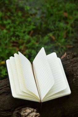 Açık bir ağaç dalına doğal bir şekilde yerleştirilmiş, okumayı, eğitimi ve doğa ile bilgi arasındaki uyumu sembolize eden açık bir kitap. Dünya Kitap Günü ve okur yazarlık için ideal bir kavram..