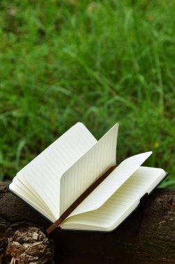 Açık bir ağaç dalına doğal bir şekilde yerleştirilmiş, okumayı, eğitimi ve doğa ile bilgi arasındaki uyumu sembolize eden açık bir kitap. Dünya Kitap Günü ve okur yazarlık için ideal bir kavram..