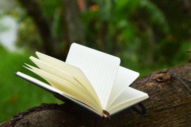 Doğaya yerleştirilmiş açık bir kitap, okuma ve Dünya Kitap Günü temaları için mükemmel..