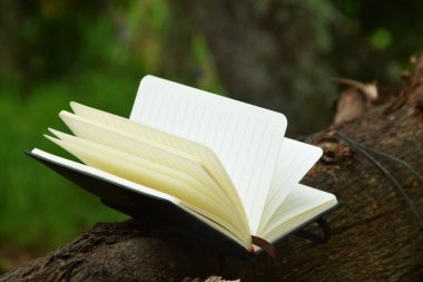 Doğaya yerleştirilmiş açık bir kitap, okuma ve Dünya Kitap Günü temaları için mükemmel..