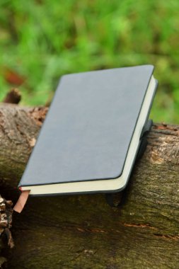 Bir ağaç dalında dinlenen siyah bir kitap, doğadaki okuma ve öğrenmeyi sembolize ediyor. Dünya Kitap Günü ve eğitim temaları için uygundur.