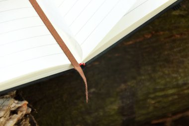 Bulanık doğal bir arka planı olan, bir ağaç dalında dinlenen kahverengi bir kitap ayracının yakın plan çekimi. Dünya Kitap Günü, okuma ya da doğa ile uyum gibi konular için ideal.