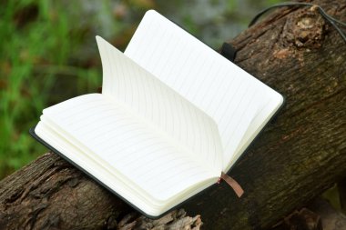 Bulanık doğal bir arka planı olan bir ağaç dalına uzanan açık bir kitabın yakın çekimi. Dünya Kitap Günü, eğitim veya doğa ile uyum gibi konular için ideal.