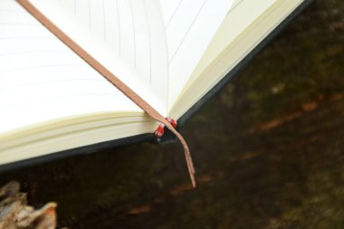 Bulanık doğal bir arka planı olan, bir ağaç dalında dinlenen kahverengi bir kitap ayracının yakın plan çekimi. Dünya Kitap Günü, okuma ya da doğa ile uyum gibi konular için ideal.