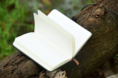 Bulanık doğal bir arka planı olan bir ağaç dalına uzanan açık bir kitabın yakın çekimi. Dünya Kitap Günü, eğitim veya doğa ile uyum gibi konular için ideal.