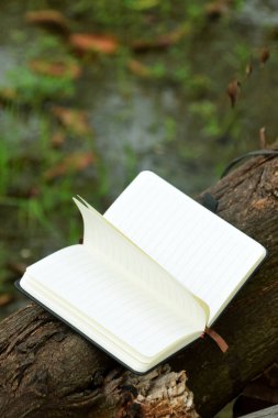 Bulanık doğal bir arka planı olan bir ağaç dalına uzanan açık bir kitabın yakın çekimi. Dünya Kitap Günü, eğitim veya doğa ile uyum gibi konular için ideal.