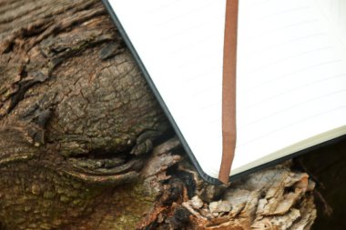 Bulanık doğal bir arka planı olan, bir ağaç dalında dinlenen kahverengi bir kitap ayracının yakın plan çekimi. Dünya Kitap Günü, okuma ya da doğa ile uyum gibi konular için ideal.