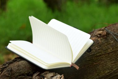 Bulanık doğal bir arka planı olan bir ağaç dalına uzanan açık bir kitabın yakın çekimi. Dünya Kitap Günü, eğitim veya doğa ile uyum gibi konular için ideal.