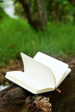 Bulanık doğal bir arka planı olan bir ağaç dalına uzanan açık bir kitabın yakın çekimi. Dünya Kitap Günü, eğitim veya doğa ile uyum gibi konular için ideal.